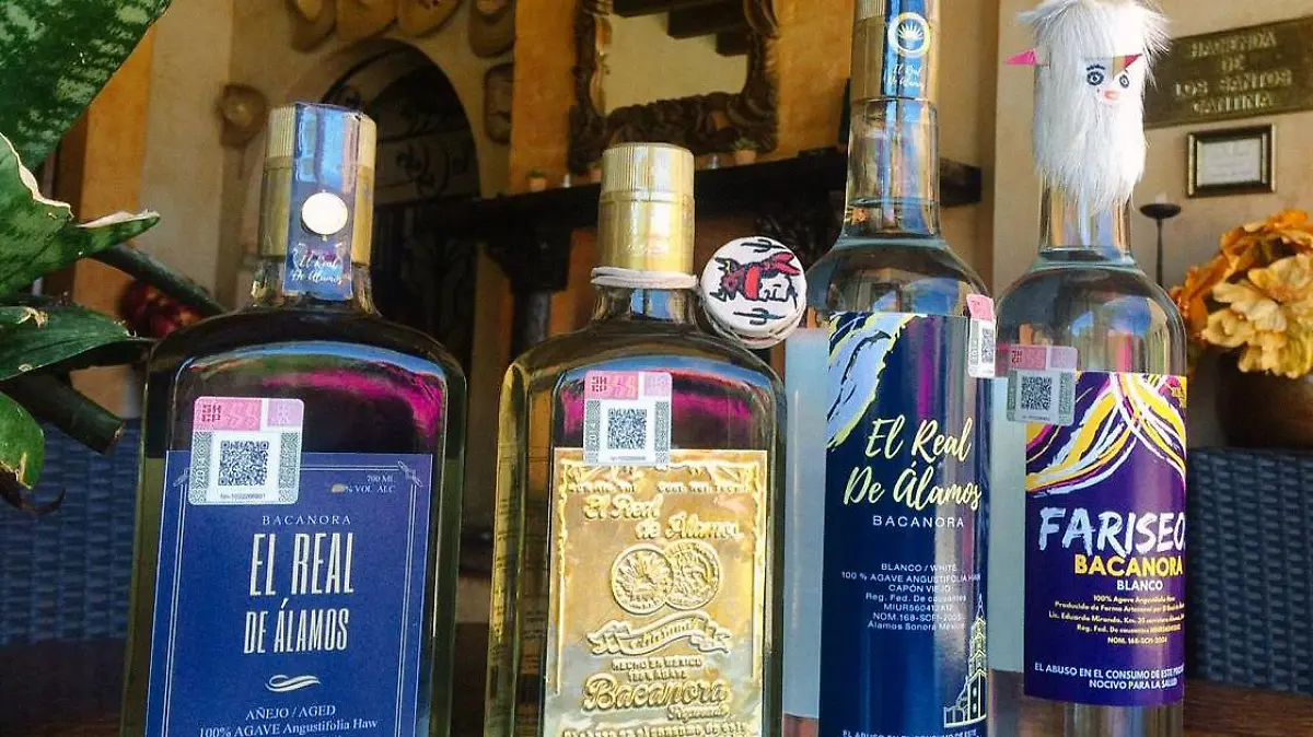 Varias botellas de bacanora