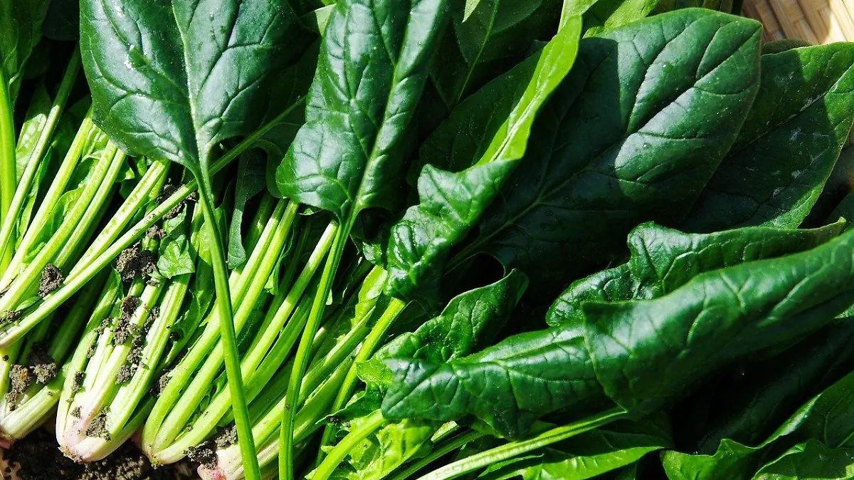 vegetables 1125420 1920