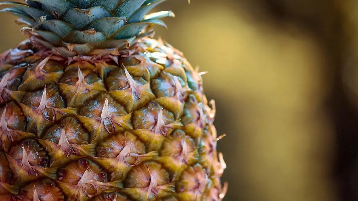 Foto: Creative Commons