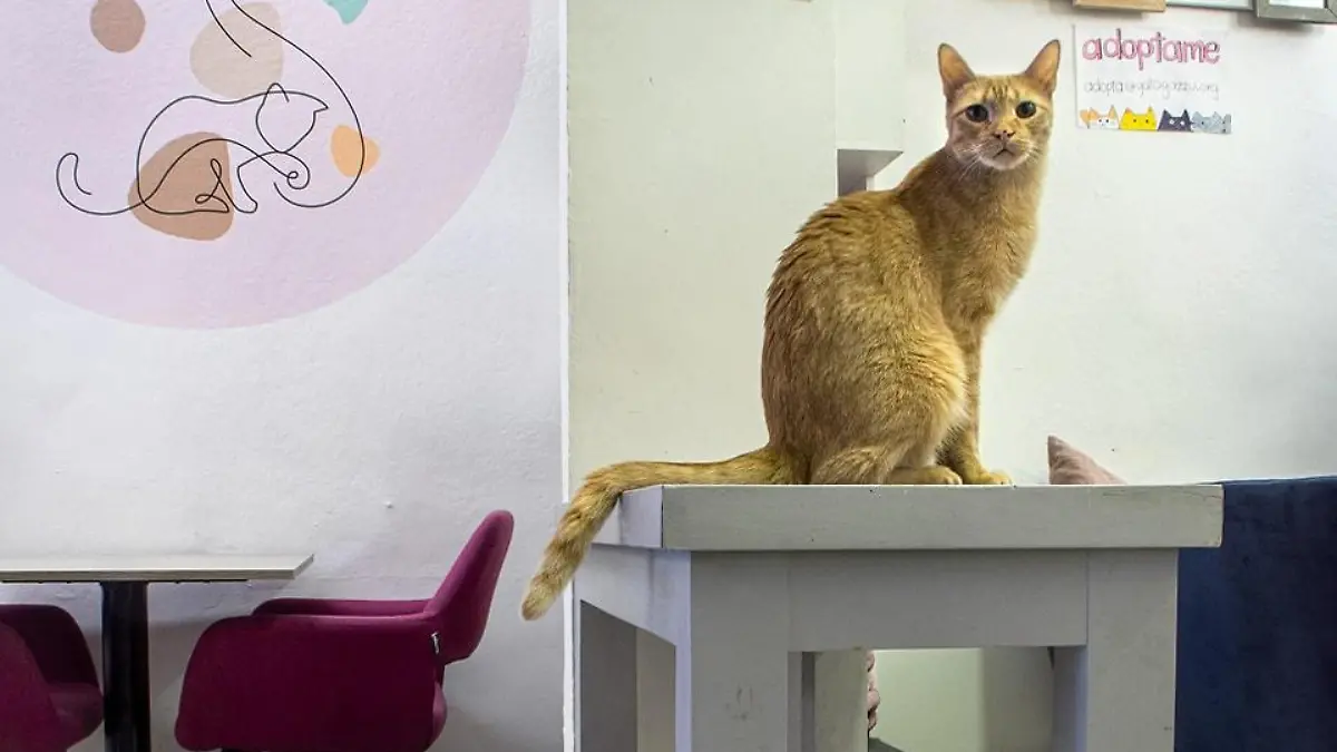 344335697 222347387052371 487260082244865088 n