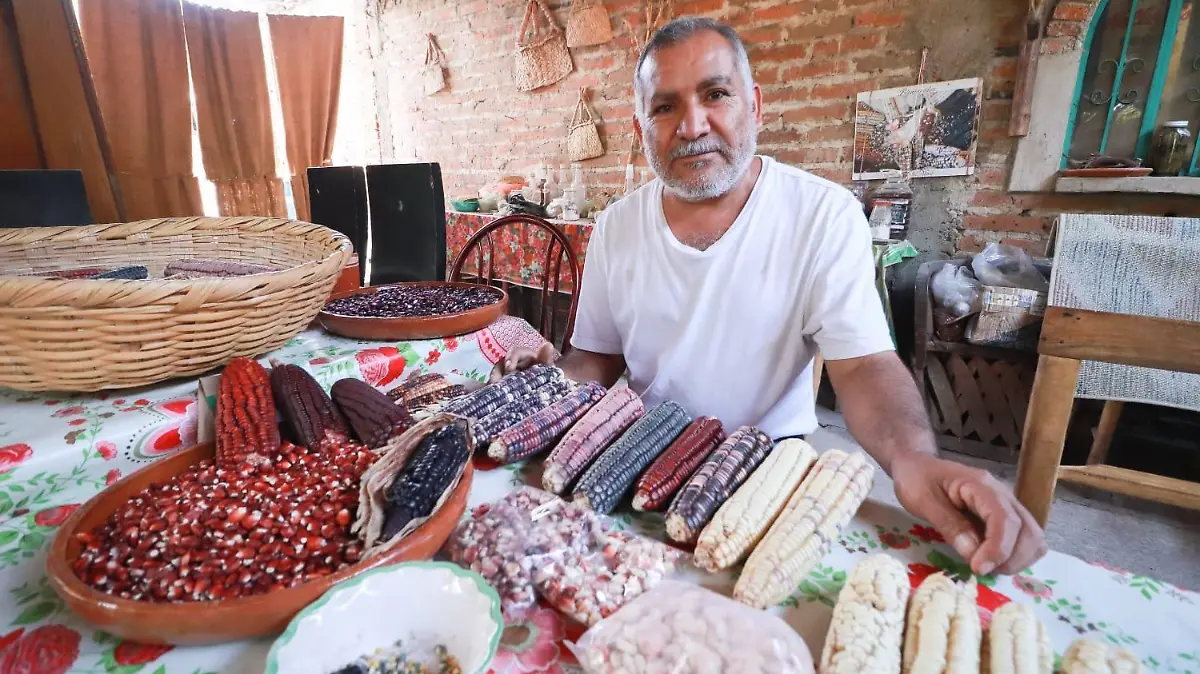 la casa del maíz (8)