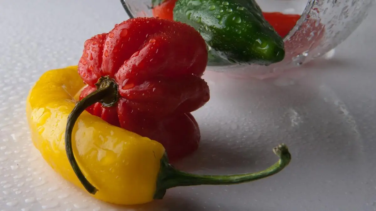 chili ge84a6713f 1280