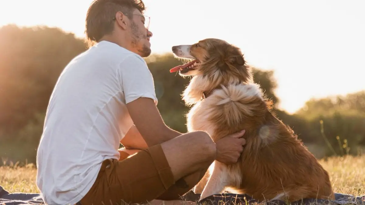 vista posterior joven perro playa