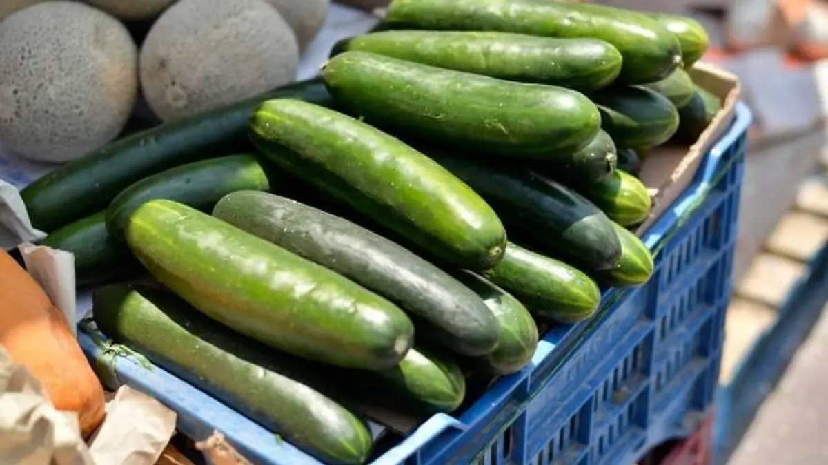 pepino pepinos de SLP