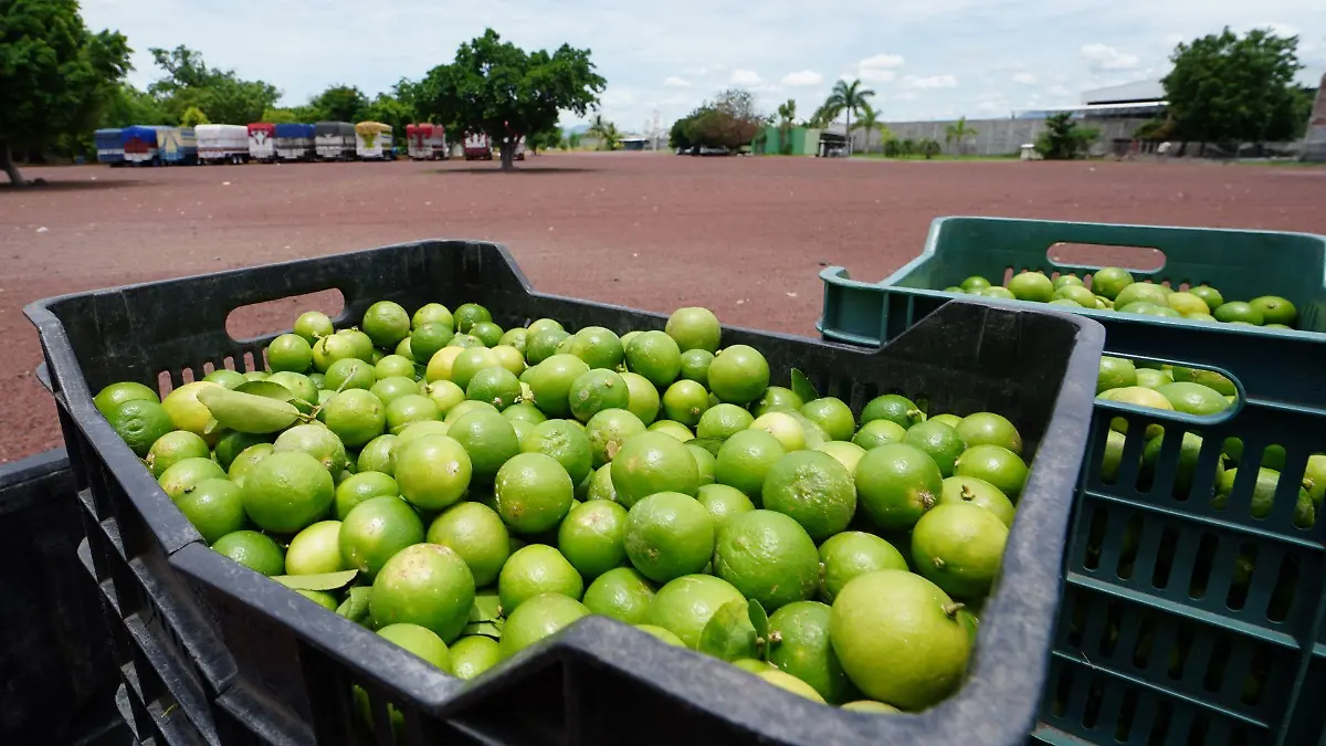 Una caja de limones precio a ponerse en venta.