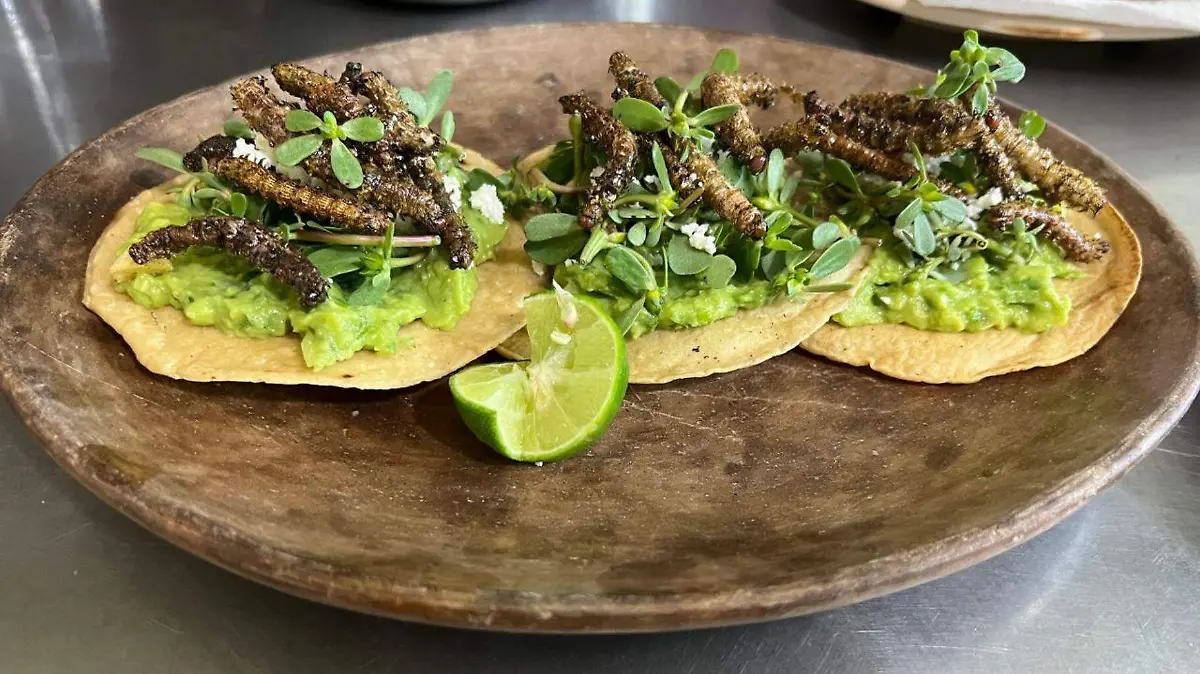 Tostadas crujientes cubiertas con pipián de saleita y gusanos de cuchamá, una combinación de texturas y sabores que celebra la herencia culinaria del semidesierto poblano.