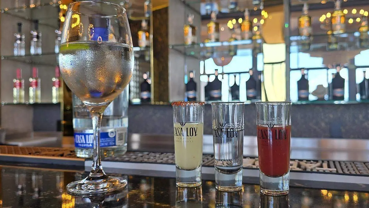 Ruta tequila Los Altos 2