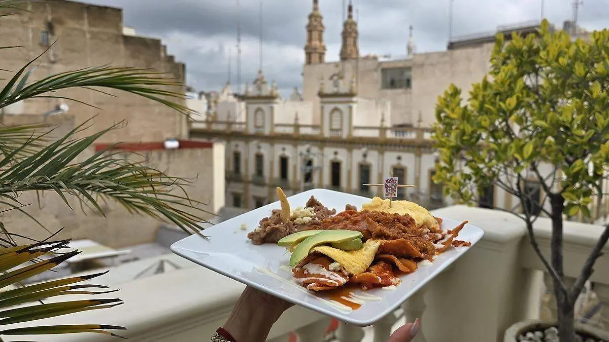 Ruta tequila Los Altos 4