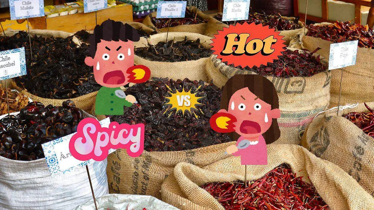 ¿Cómo se dice “picante” en inglés ¿Hot o spicy