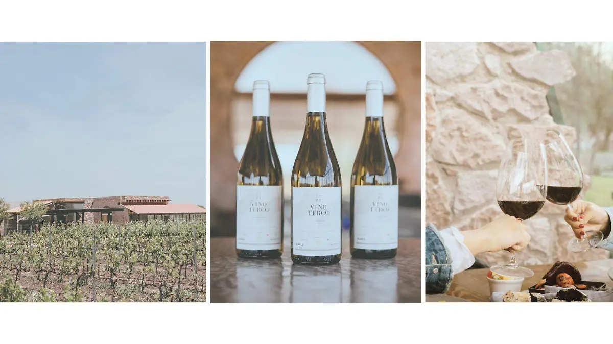 El reconocimiento del IMPI fortalece la presencia de Querétaro en el mapa vitivinícola.