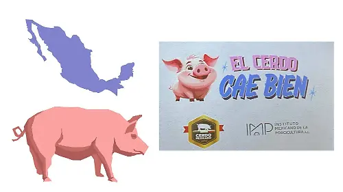 1 OEM  el cerdo cae bien