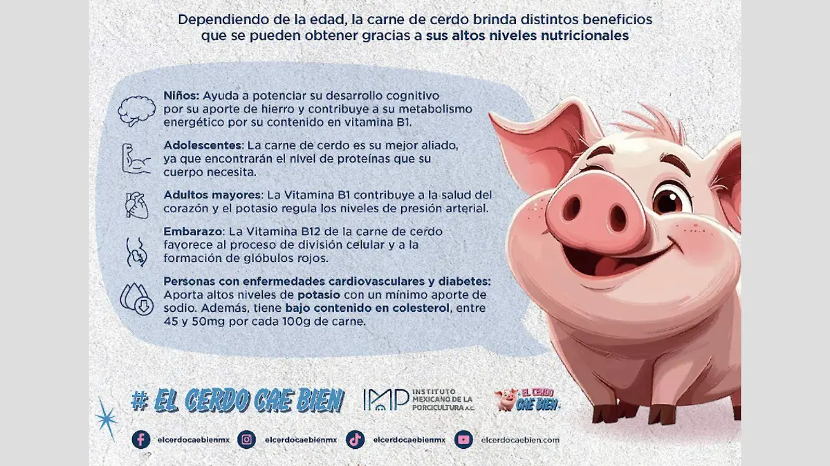 México ocupa el octavo lugar mundial en producción de carne de cerdo y el sexto en exportaciones, con presencia en Japón, Estados Unidos y Corea del Sur.
