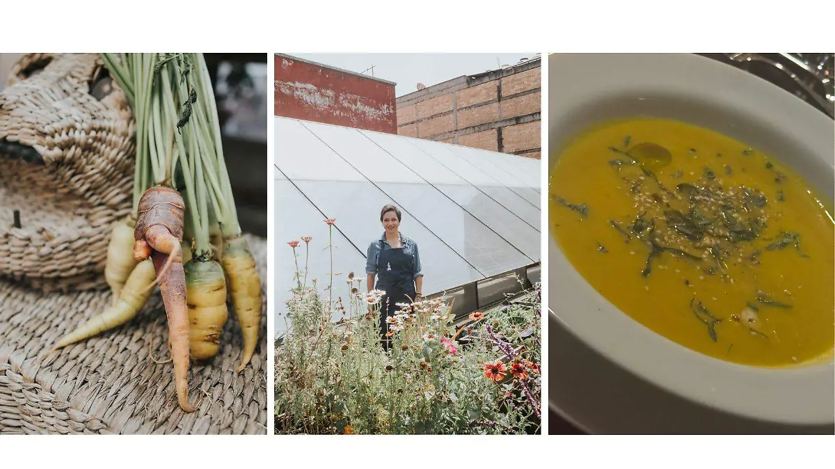 Elegir ingredientes de temporada ayuda a mejorar el sabor de los platillos y reduce el impacto ambiental.