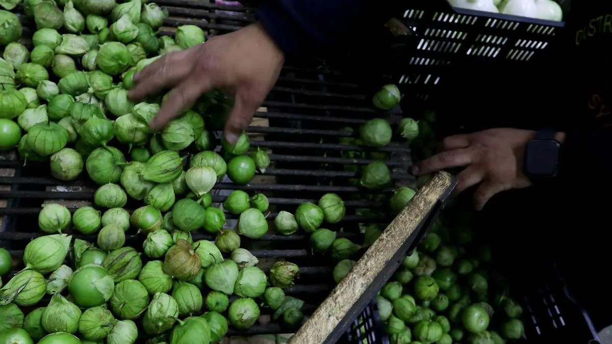 754820_Servicio Domicilio Central de Abastos_web