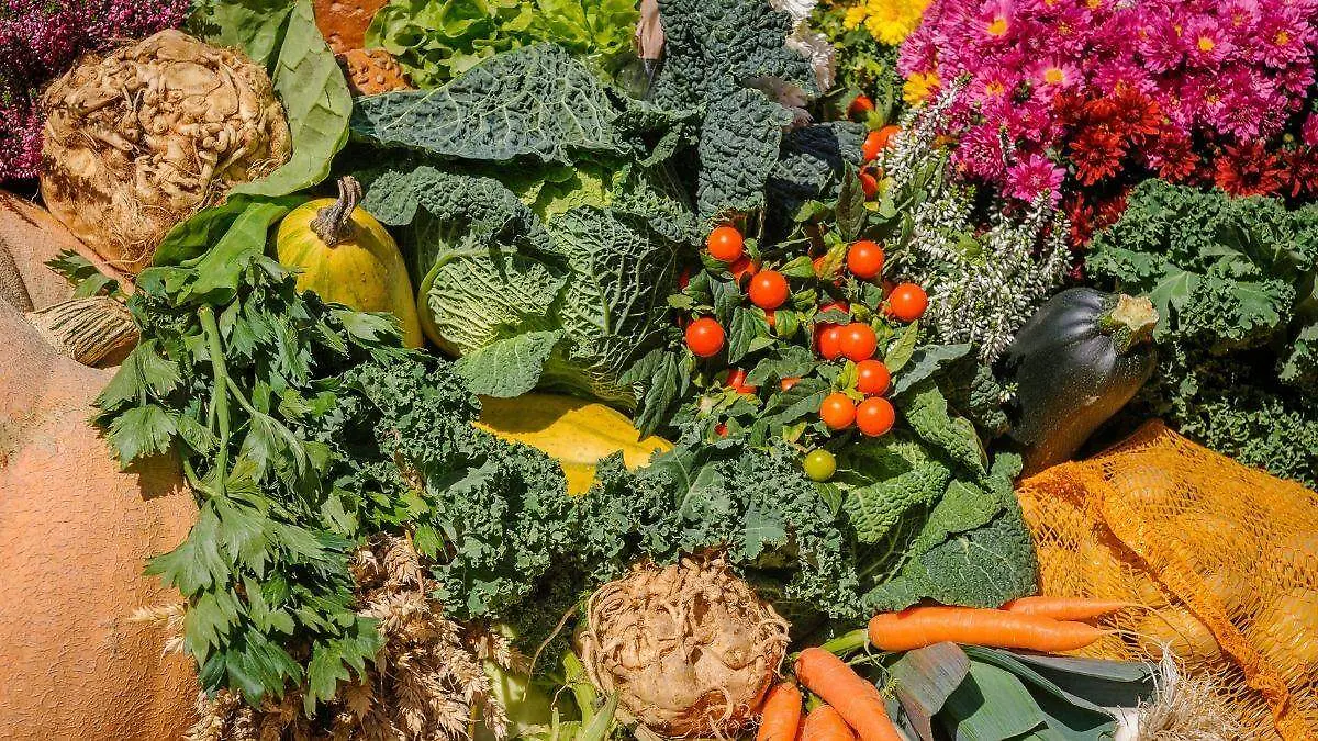 Guías Alimentarias 2025-2030