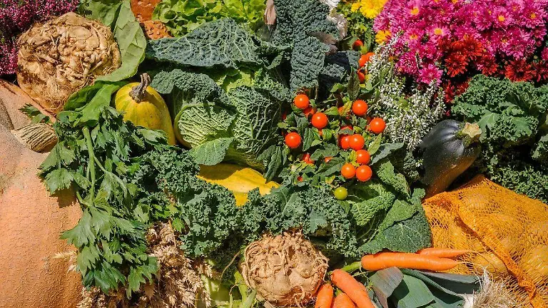 Guías Alimentarias 2025-2030