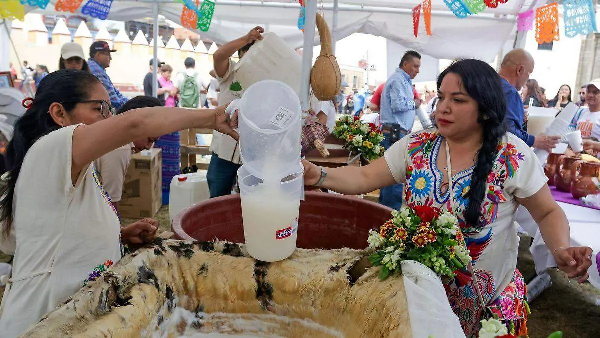Ferias del pulque