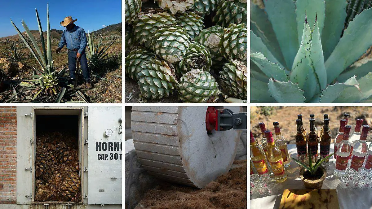 Mezcales Casa Armando