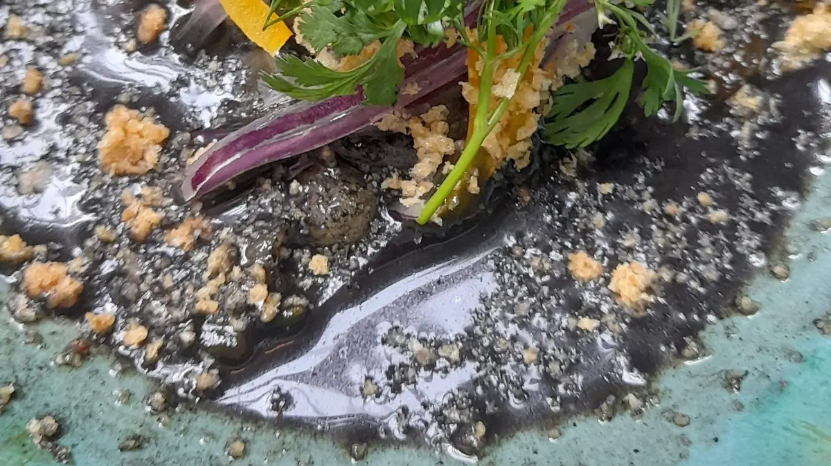 Apertura Restaurante Testal