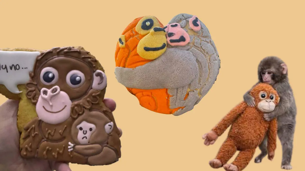 1 Aderezo conchas y galletas Punch macaco