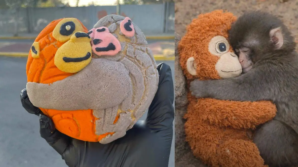 La Punchconcha retoma la estructura clásica del pan dulce mexicano con una decoración inspirada en el macaco viral.