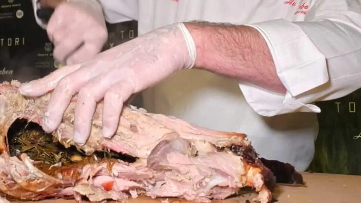 WhatsApp Image 2026-03-03 at 5.2