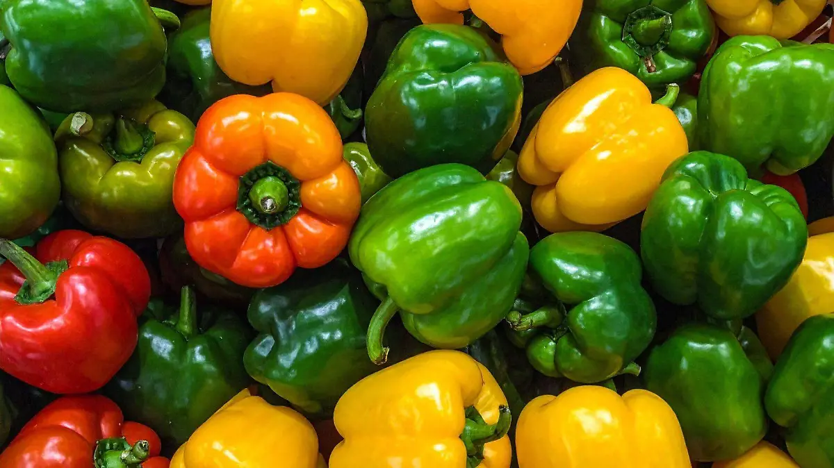 Los programas de mejora genética buscan aumentar la resistencia de las plantas a plagas y enfermedades.