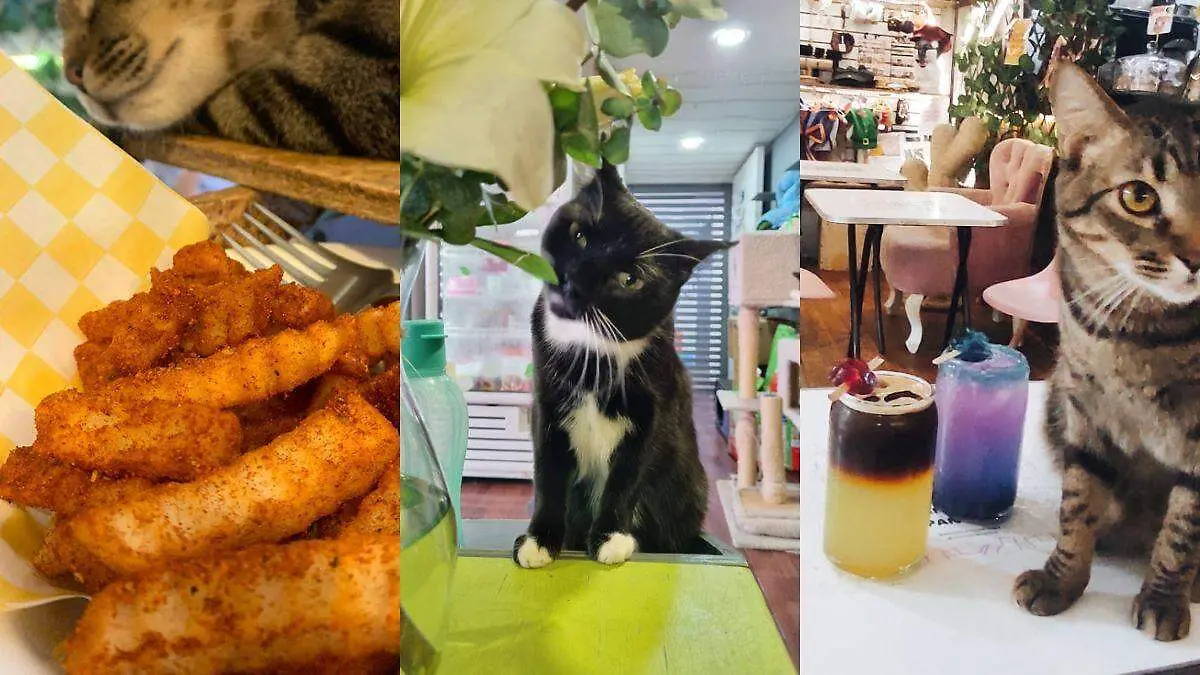 Diseño sin título (18)