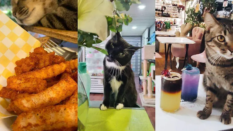 Diseño sin título (18)