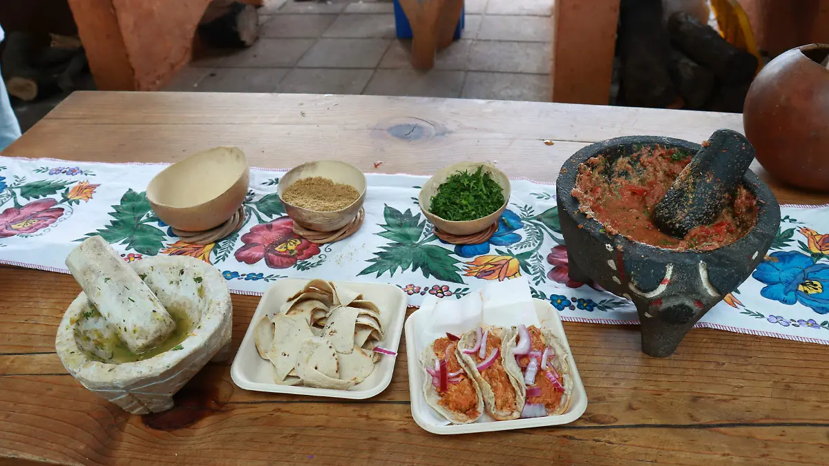 YUCATAN EN LOS PINOS-149