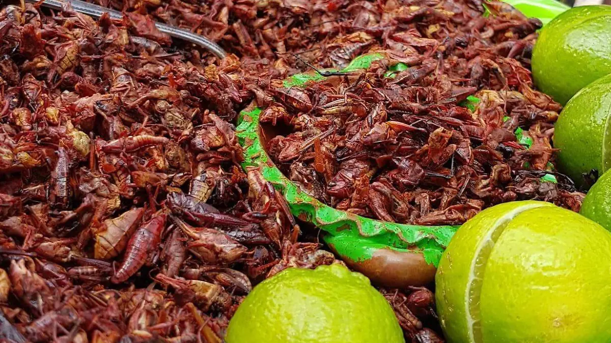 Chapulines_en_chile
