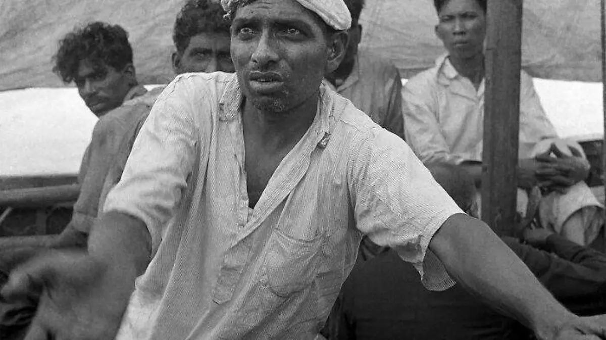 pulitzer agua