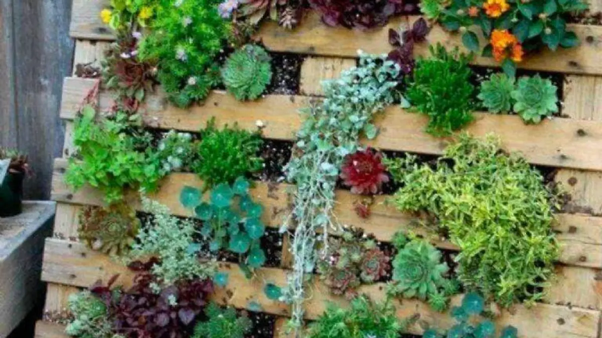 Jardín vertical con pallets de madera