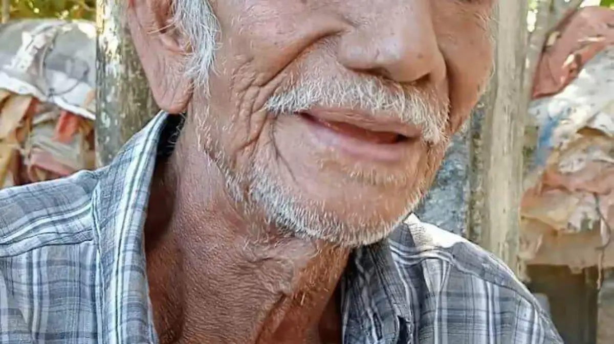 manuel alvarado