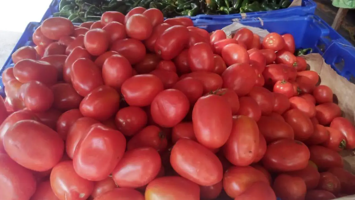 tomate2