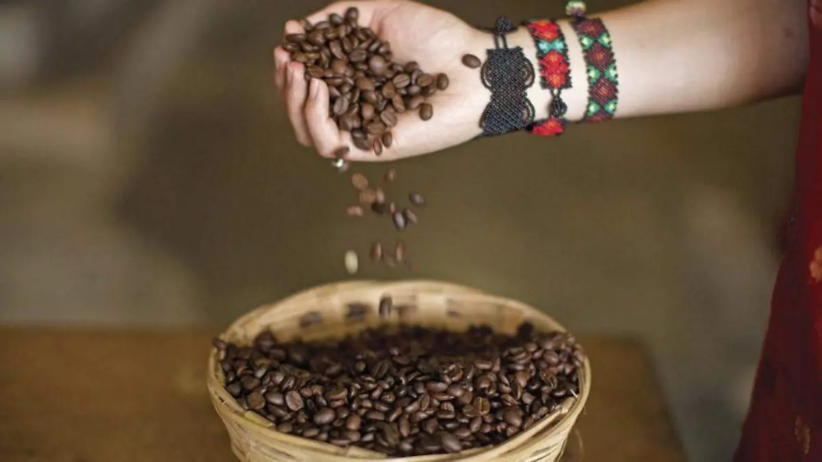 café chiapas