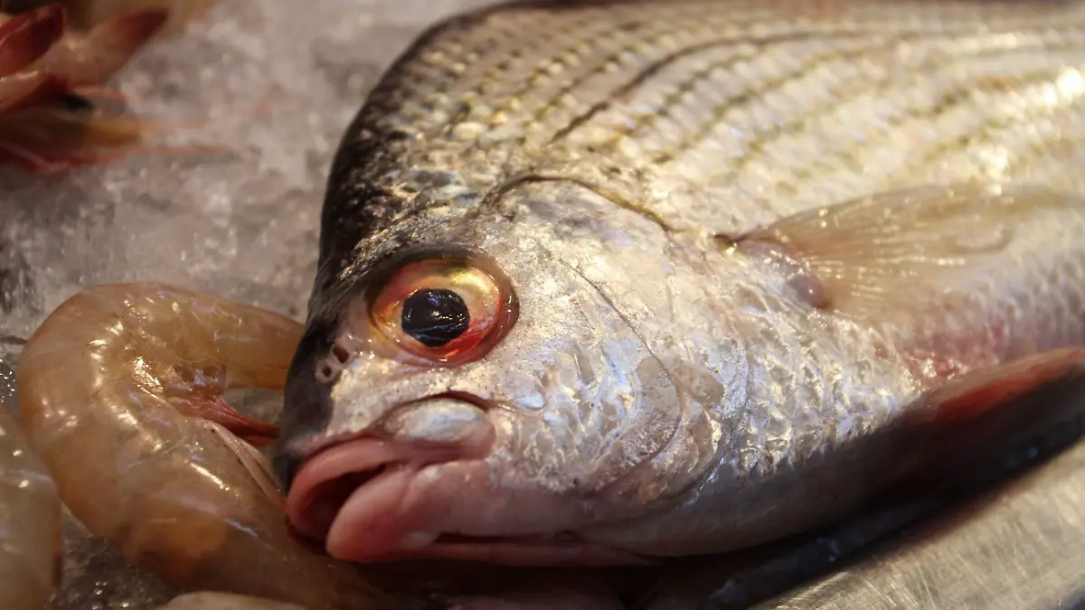 546360_Pescado Cuaresma-3_impreso