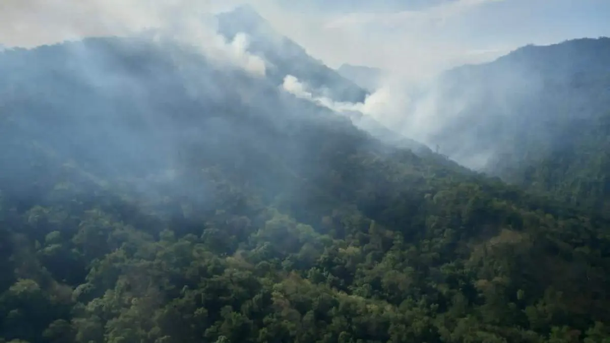 incendios2