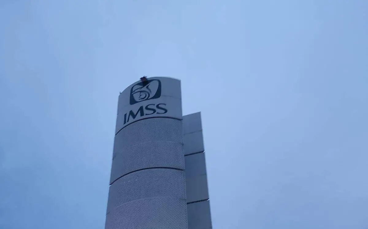 IMSS