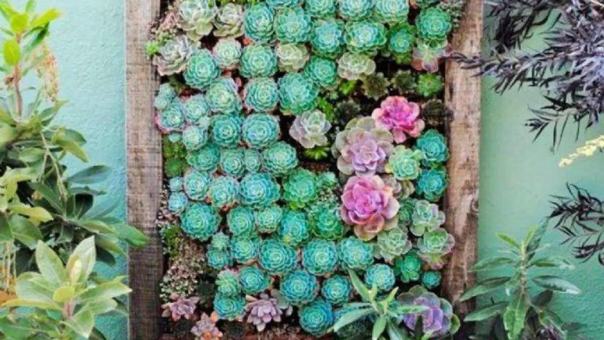 Marco vertical alargado