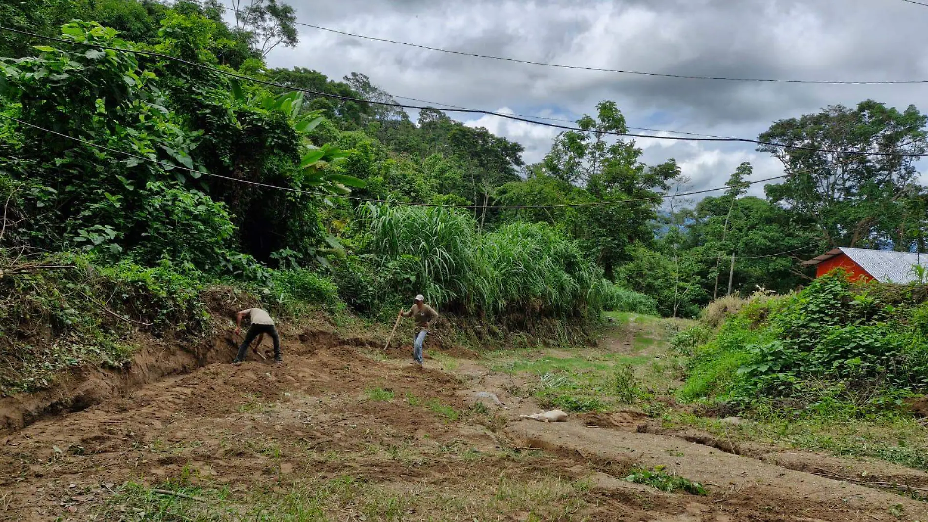 CAMPESINO