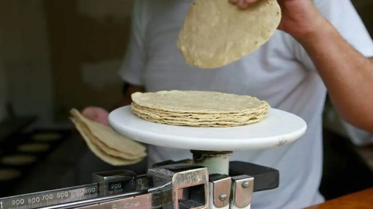 tortilla