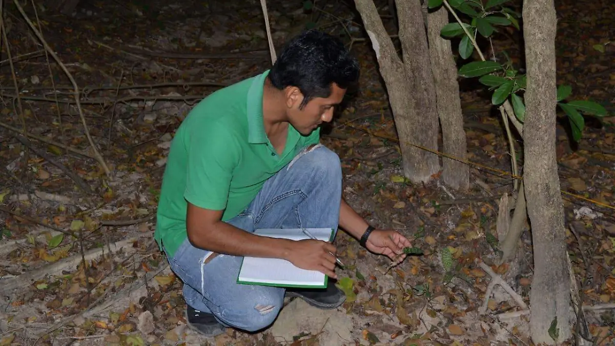 investigador