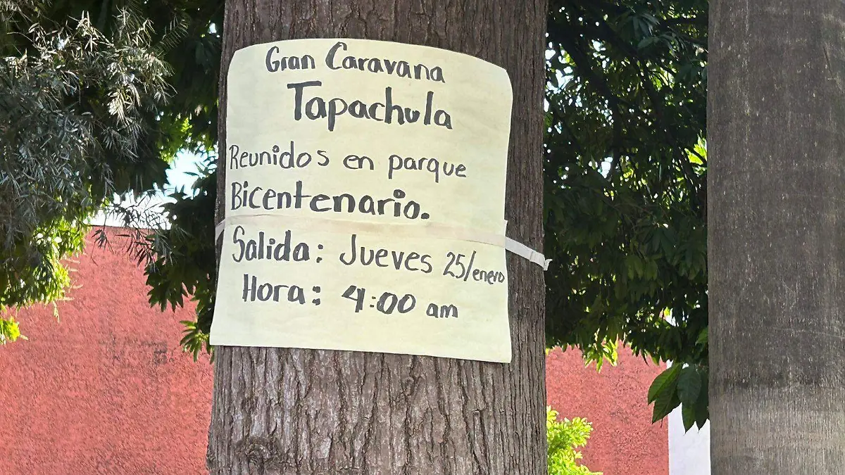 aviso de salida de caravana pegado en un árbol