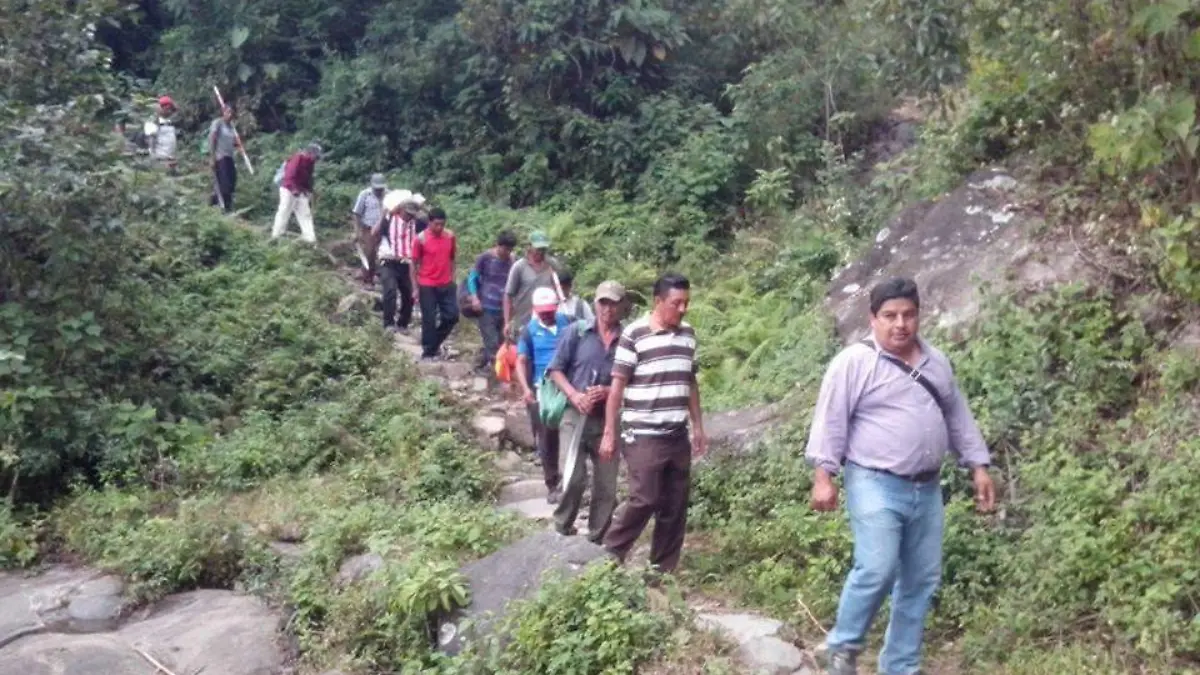 camino