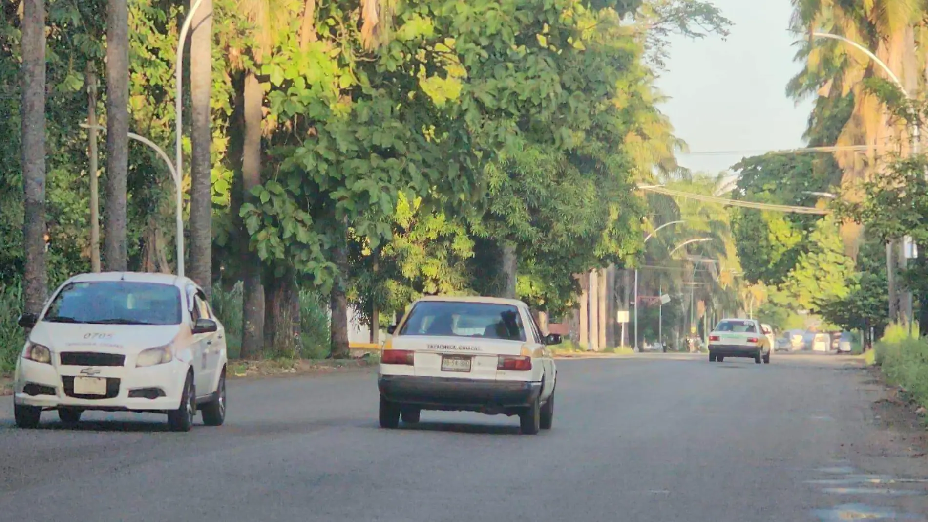 taxis amarillos