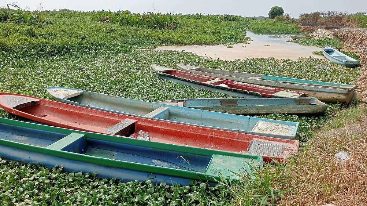 Lanchas en una laguna