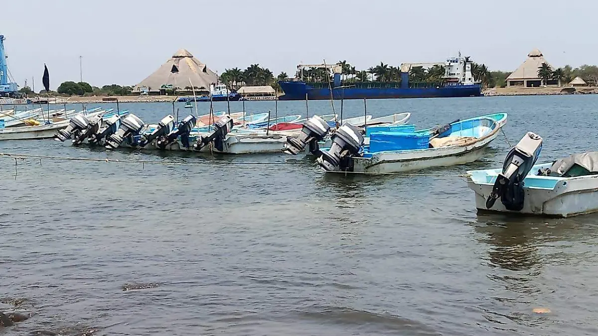 mariscos, pesca