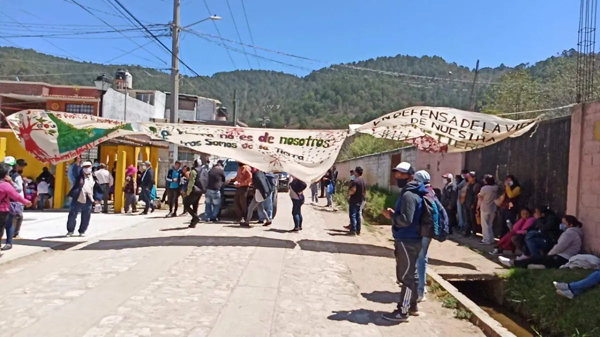 ambientalistas1