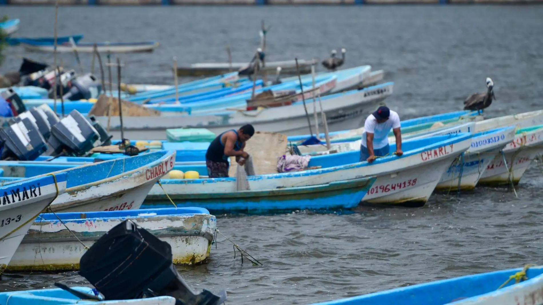 pescadores